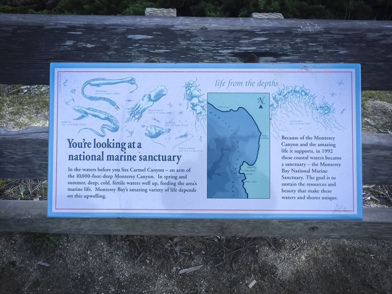 Pacific Grove Marine Gardens Conservation Area
