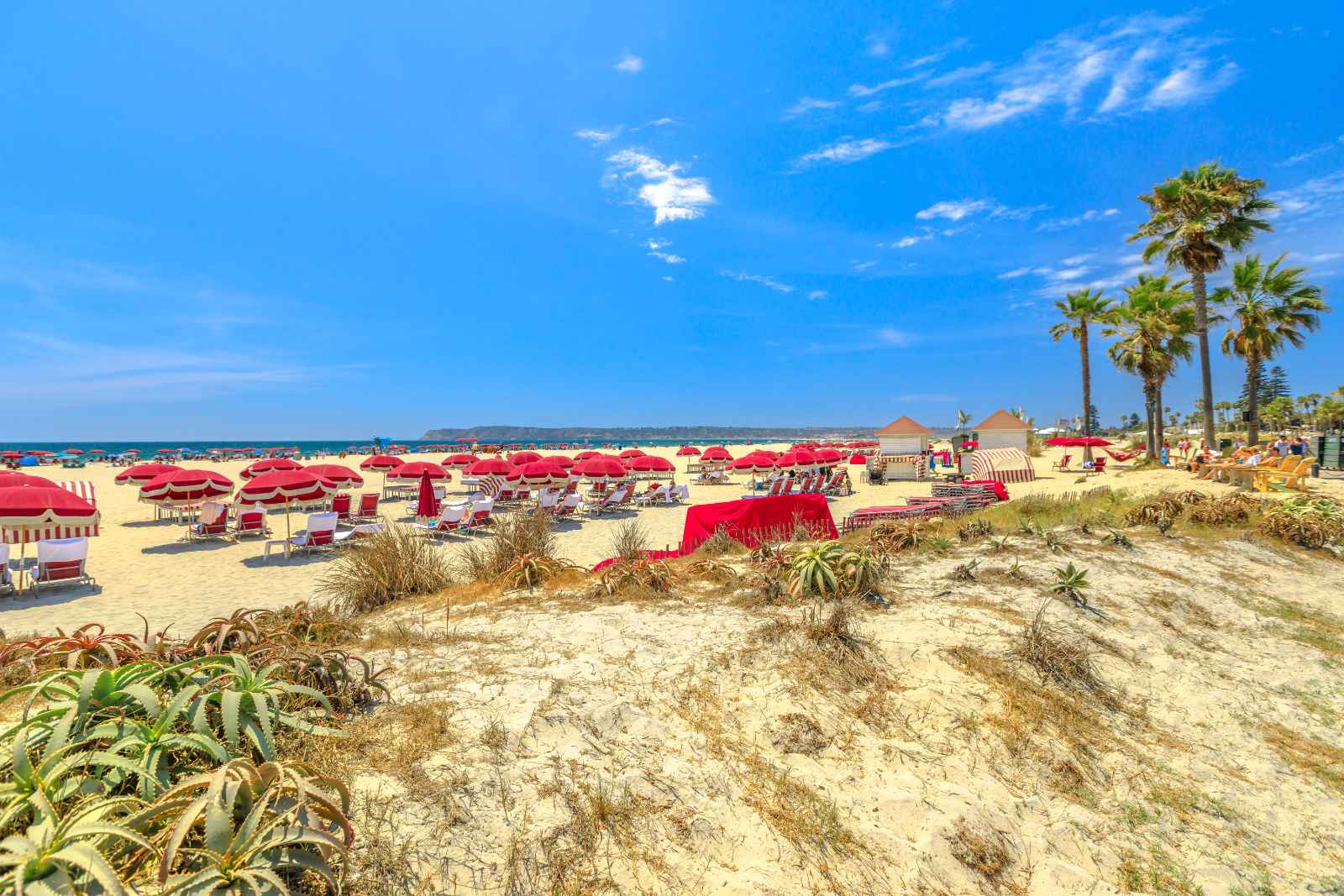 Best Beaches in San Diego Coronado Central Beach with Umbrellas