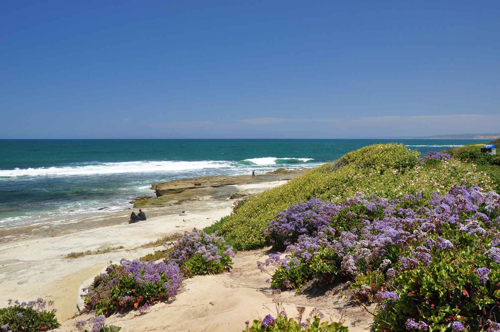 Best Beaches in San Diego FAQs La Jolla