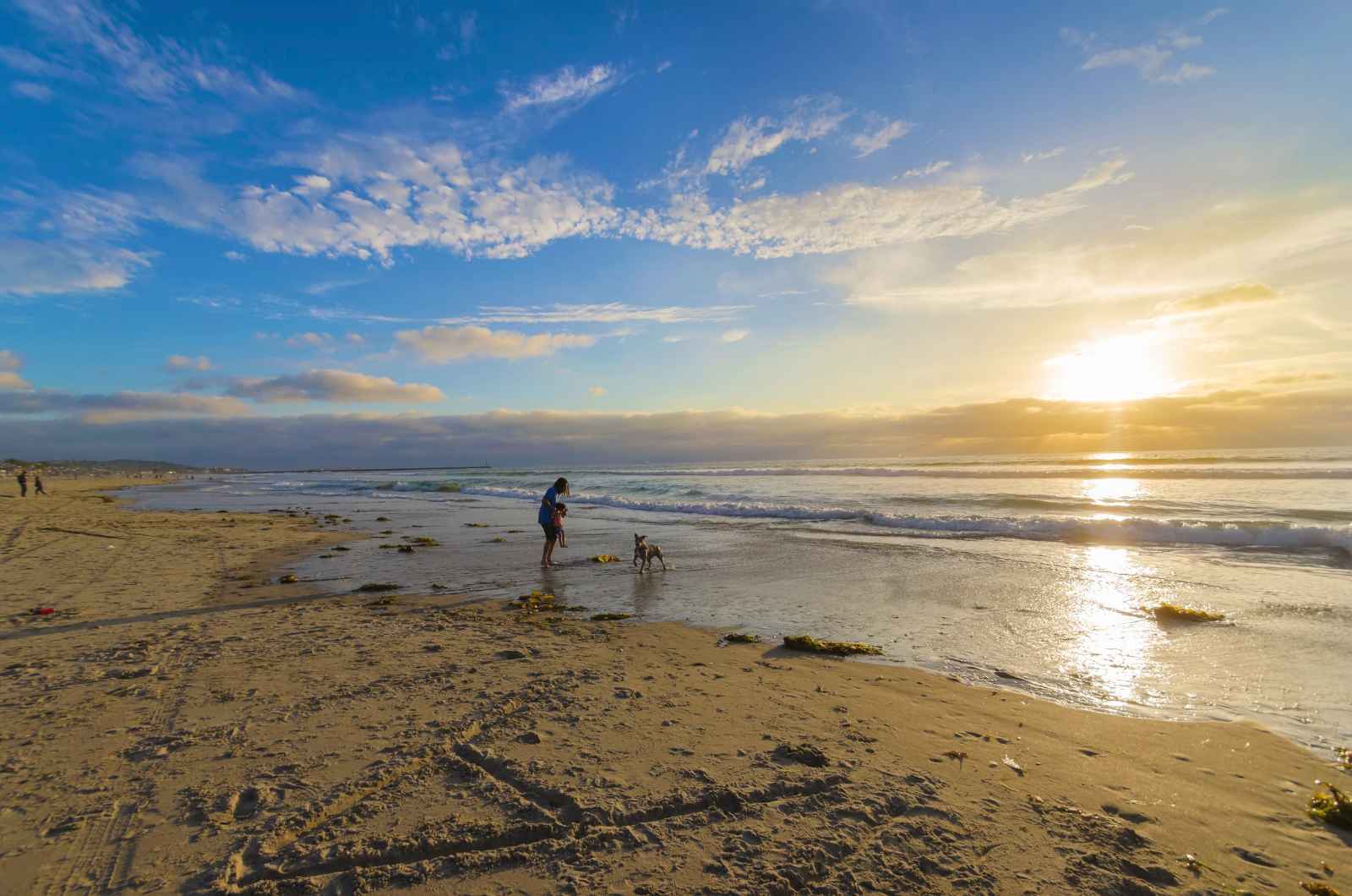 Best Beaches in San Diego FAQs Mission Beach