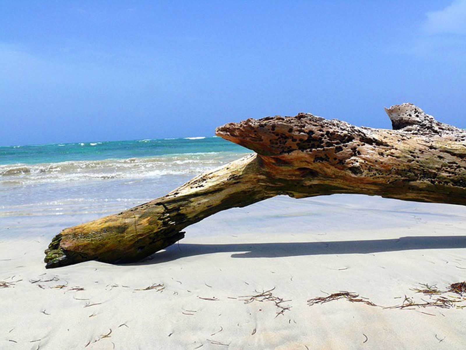 Playa Los Patos in the Dominican Republic