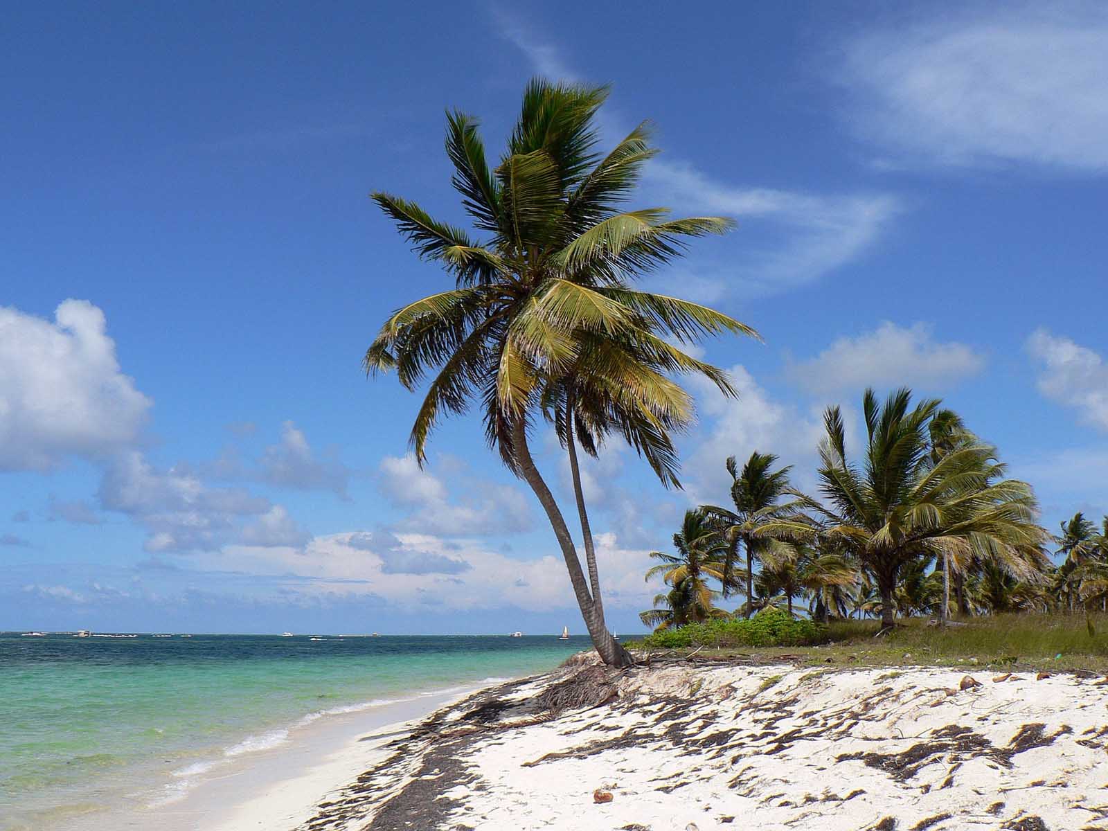 Best Dominican Republic Beaches Playa Macao