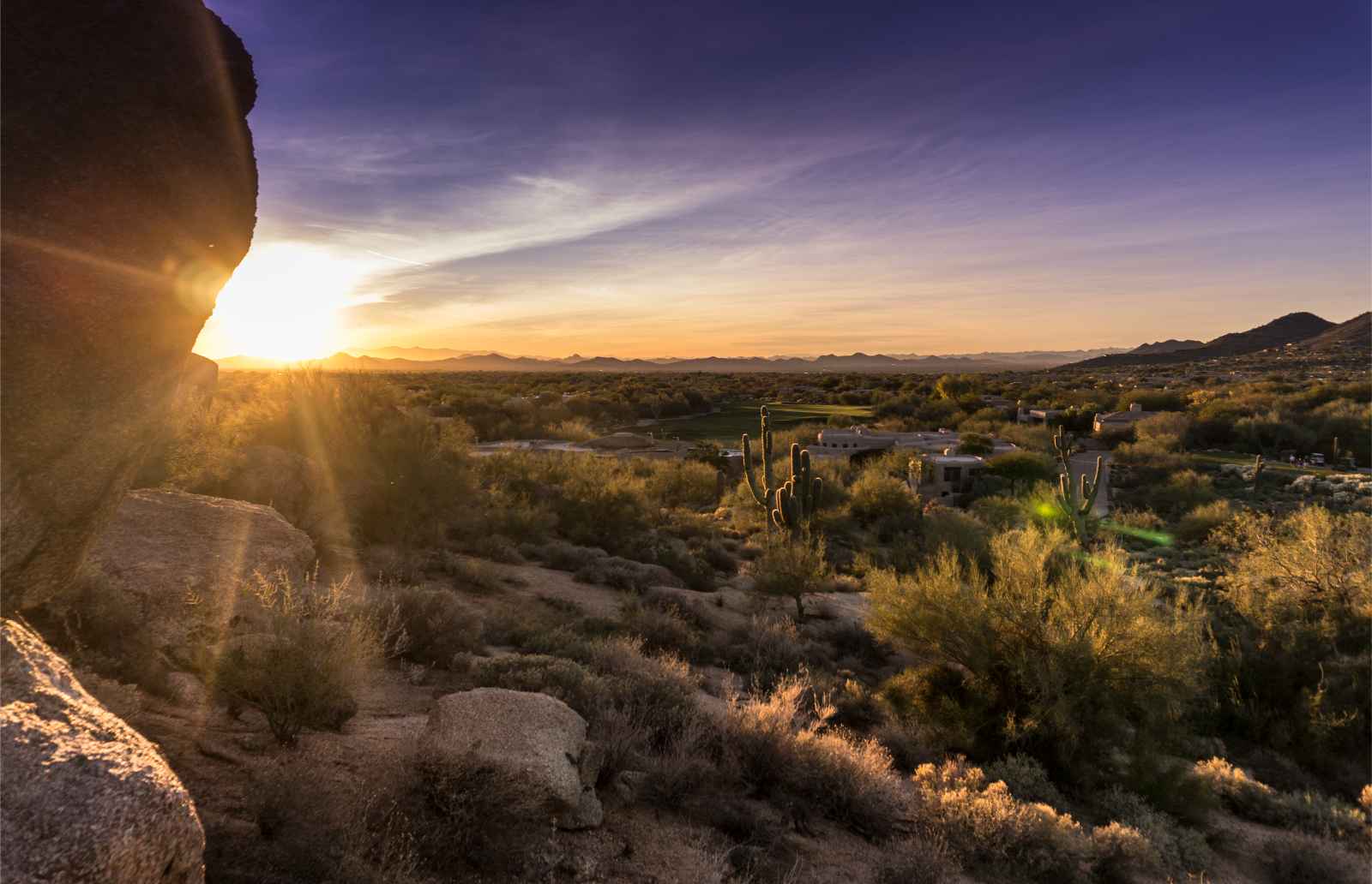 Best Places To Visit in January USA Saguaro National Park