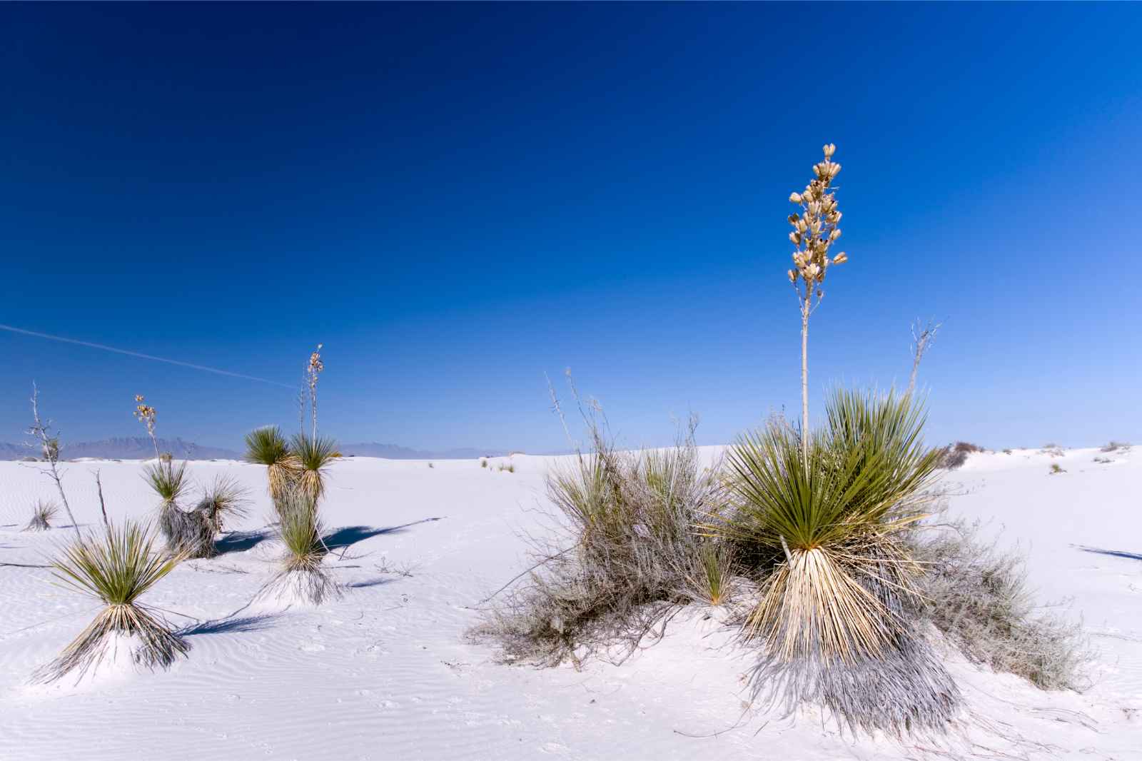 Best Places To Visit in January USA White Sands National Park