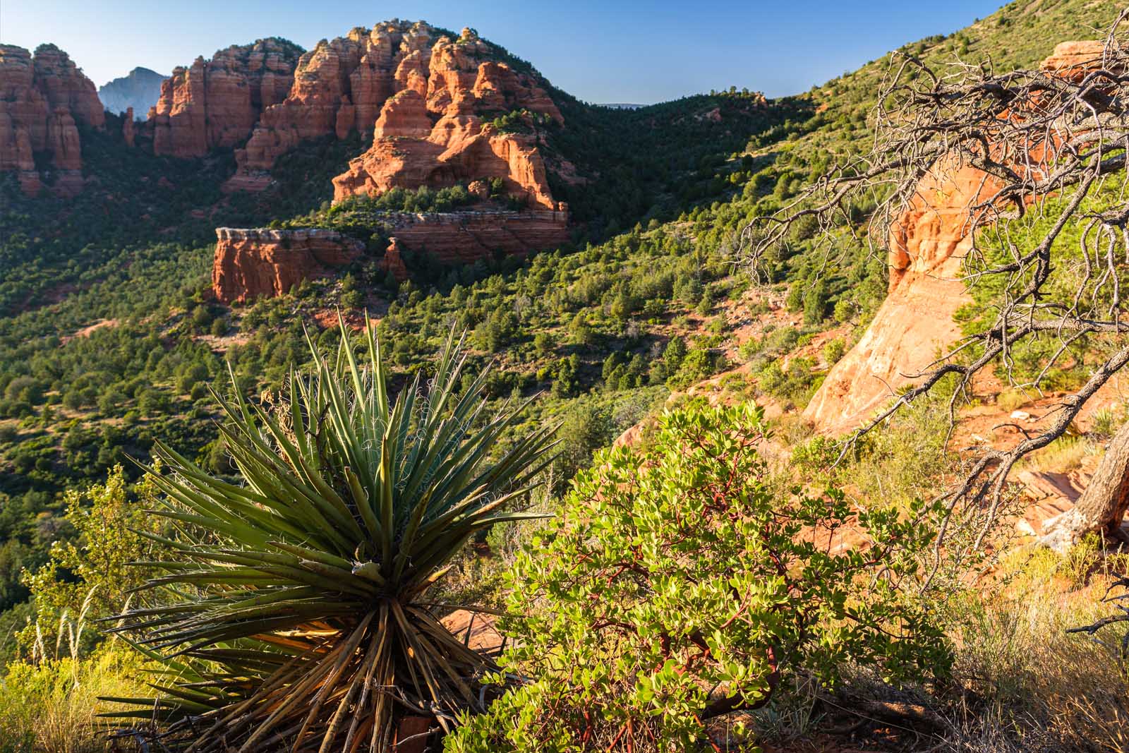 Best Places to Travel in April USA Sedona Arizona