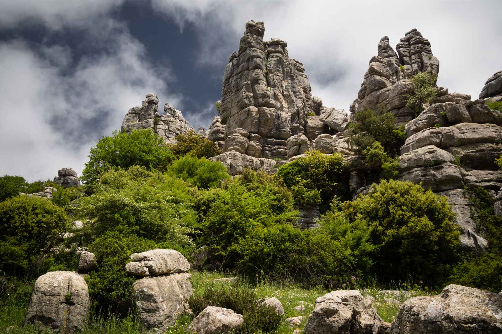 Best Things To Do In Malaga Montes de Malaga Natural Park