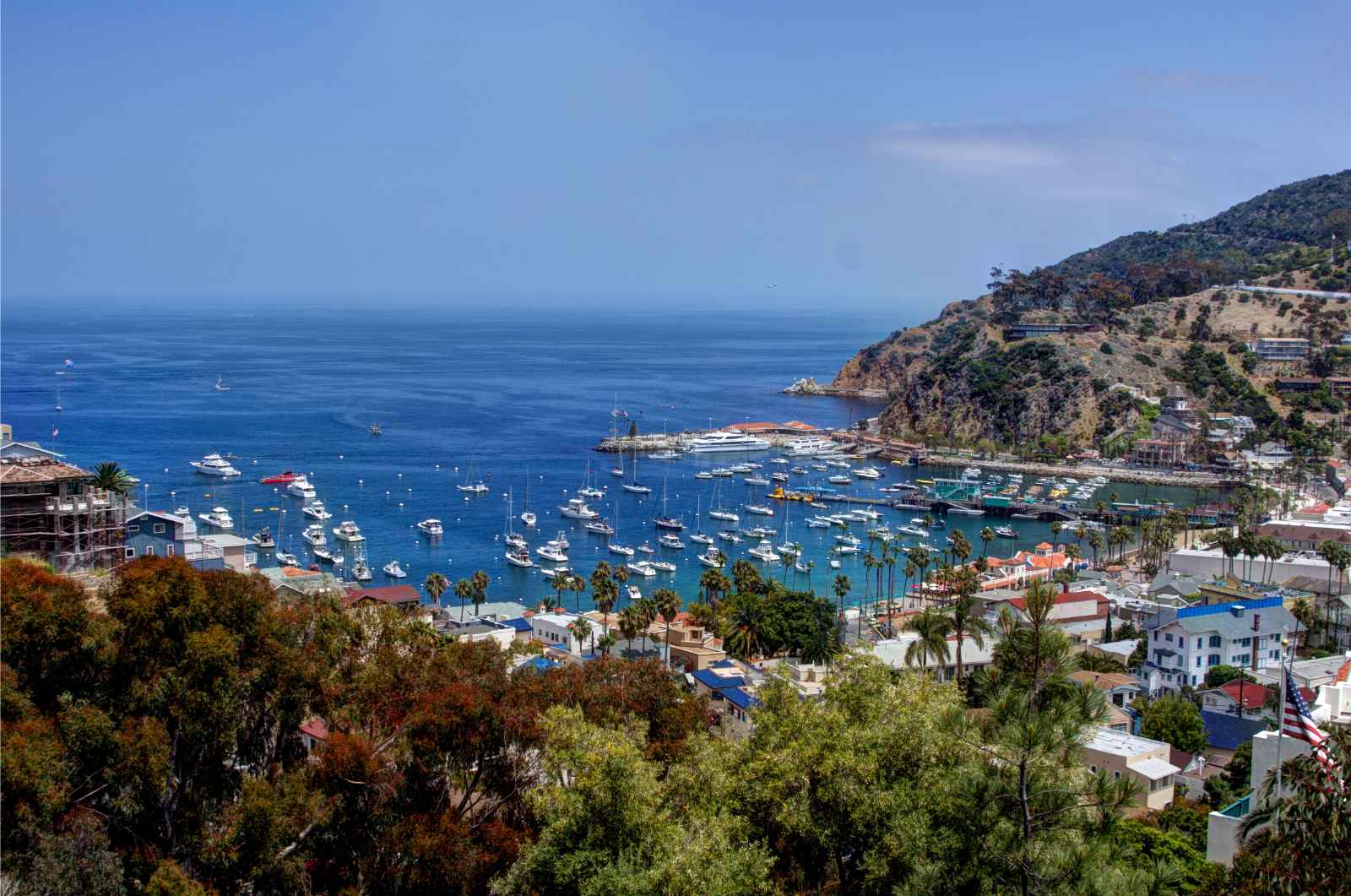 Best Things to Do in Southern California Catalina Island