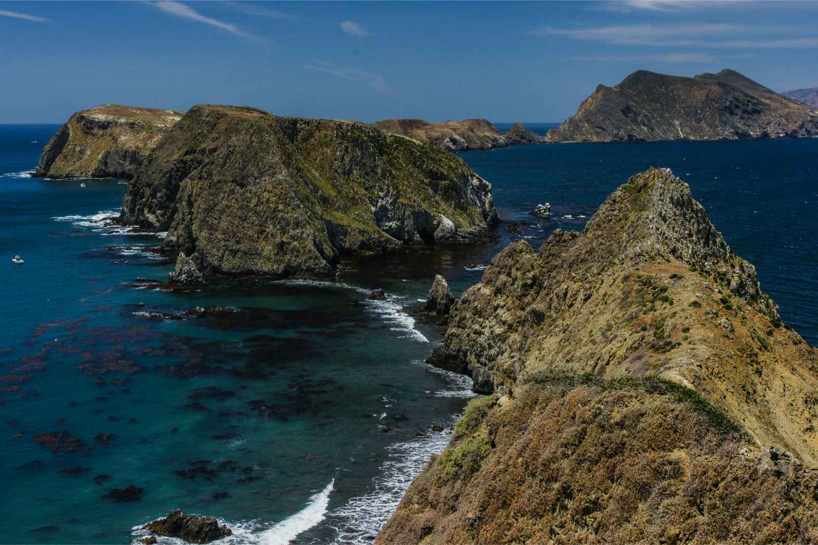 Best Things to Do in Southern California Channel Islands National Park