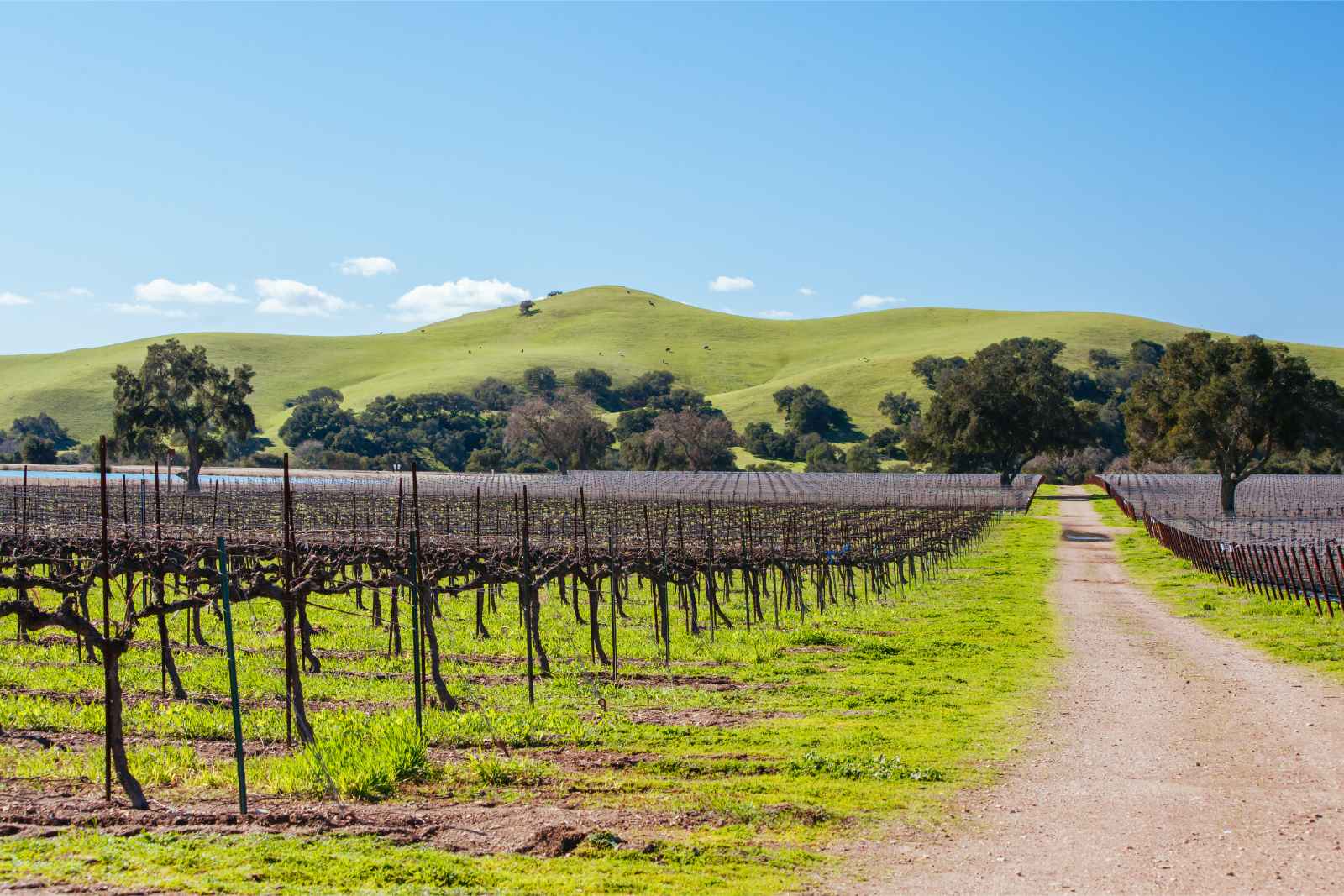 Best Things to Do in Southern California Santa Ynez Valley