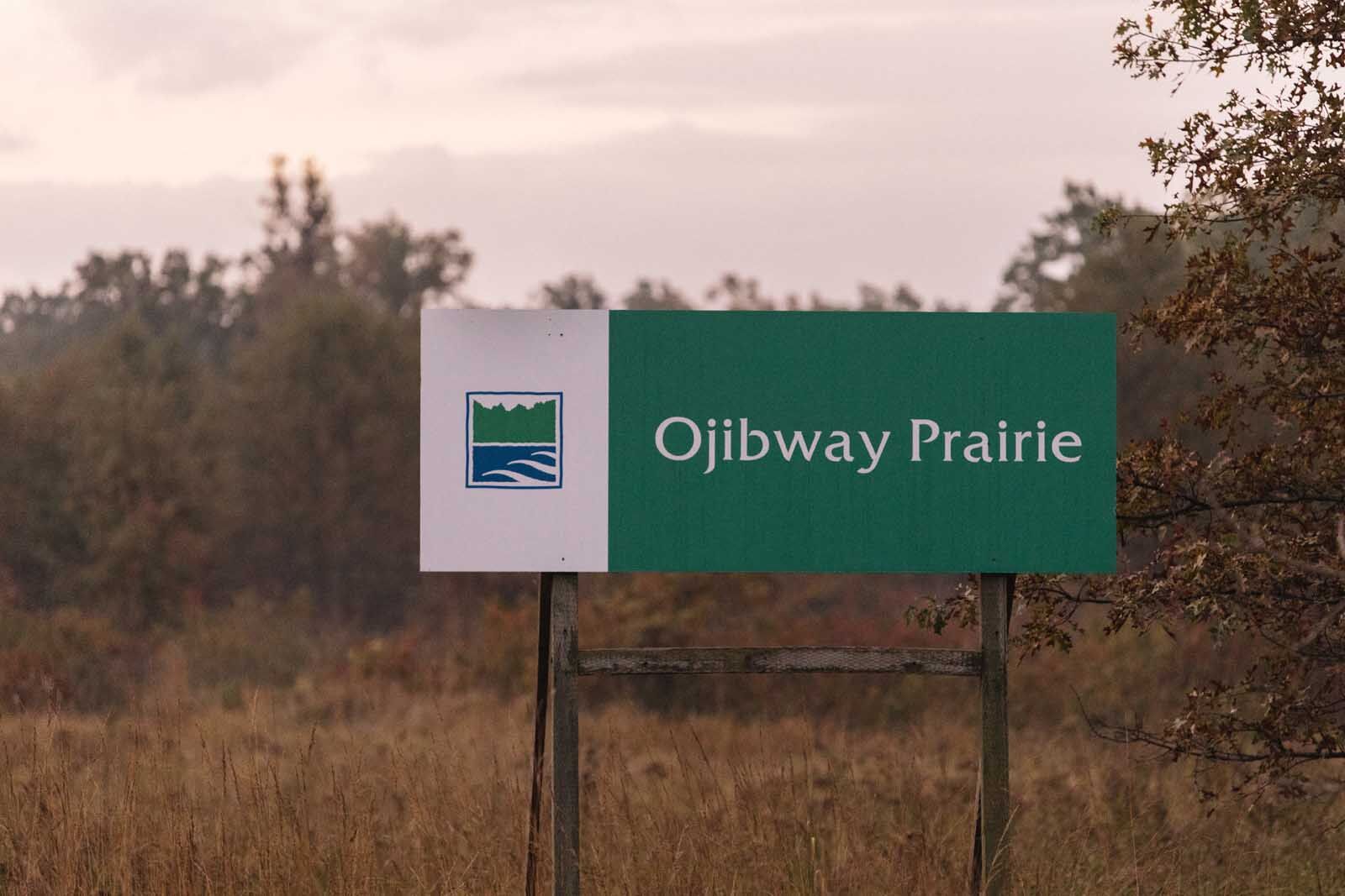 things to do in Windsor Ontario Ojibway Prairie Provincial Nature Reserve