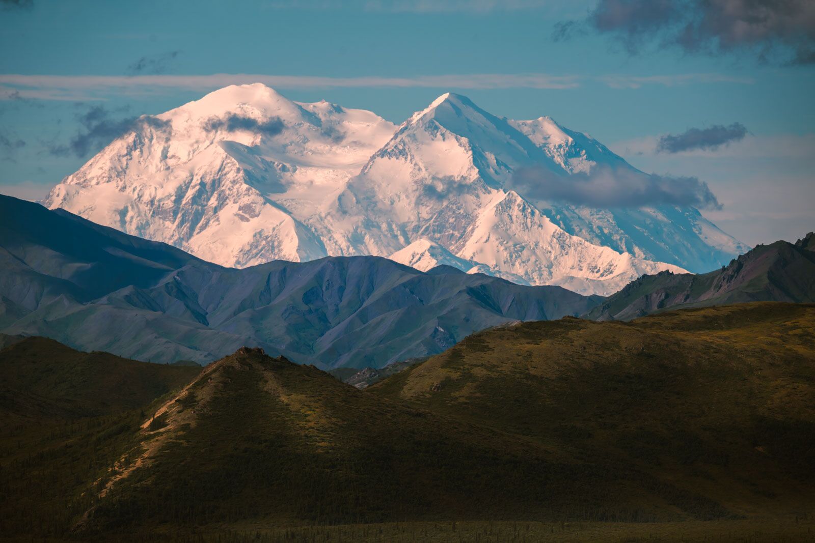 The 7 Best Things to Do in Denali National Park, Alaska