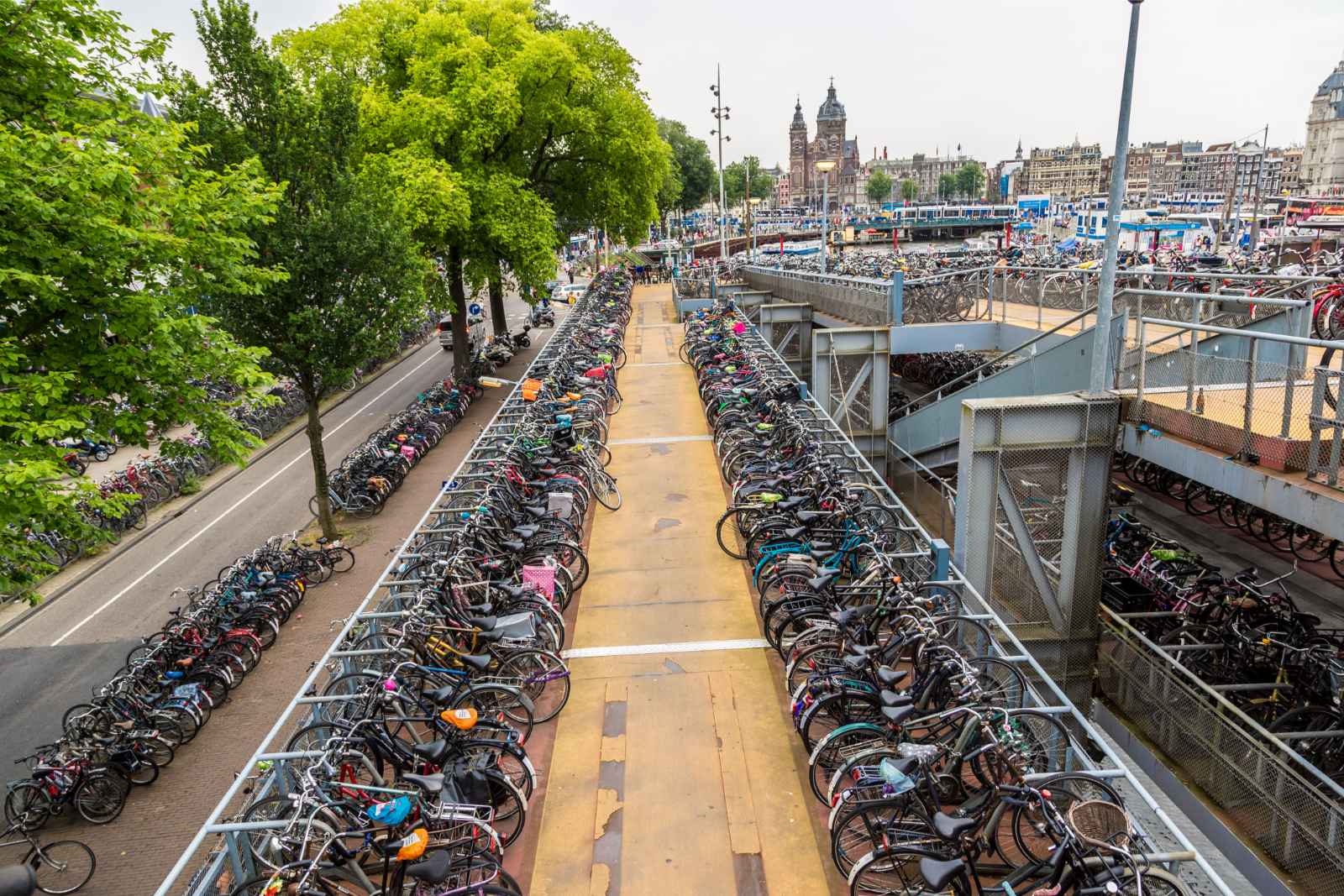 Best things to do in Amsterdam Bike tour