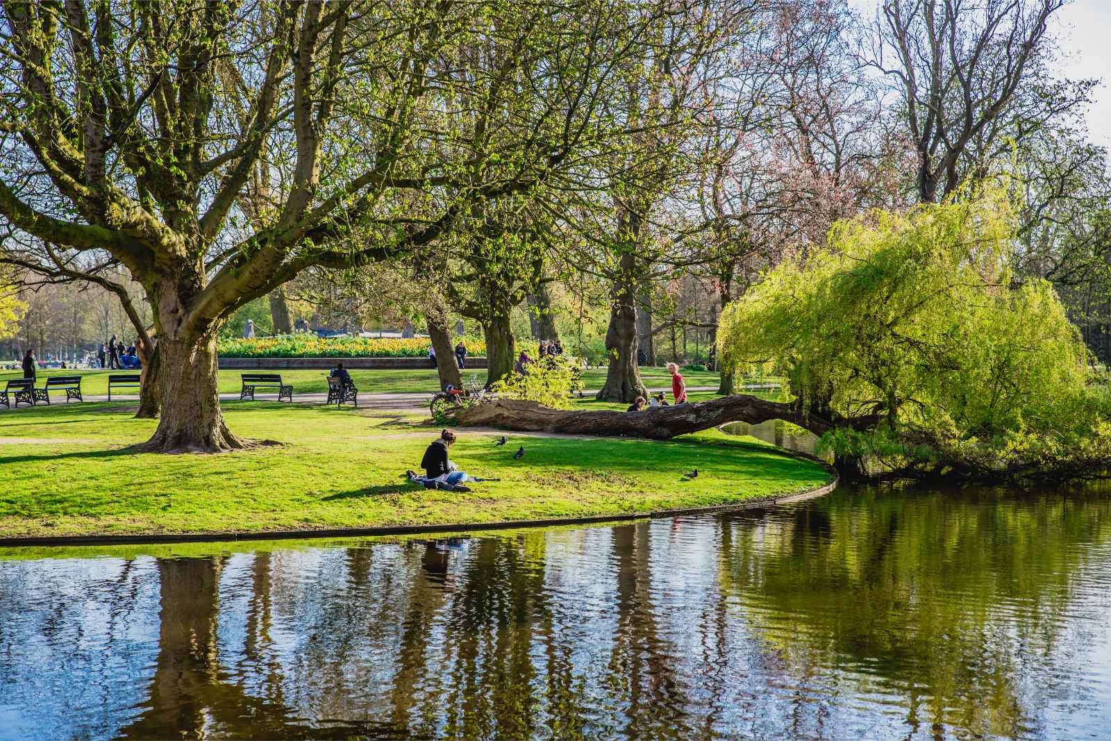 Best Things to do in Amsterdam Vondelpark