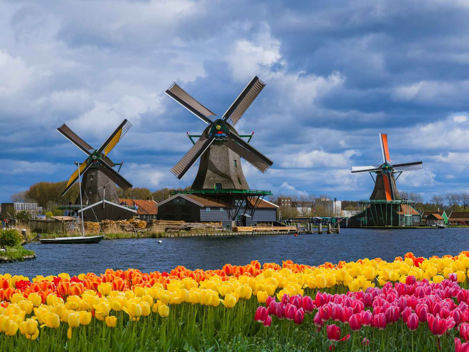 Best Things to do in Amsterdam Windmill Day Trip