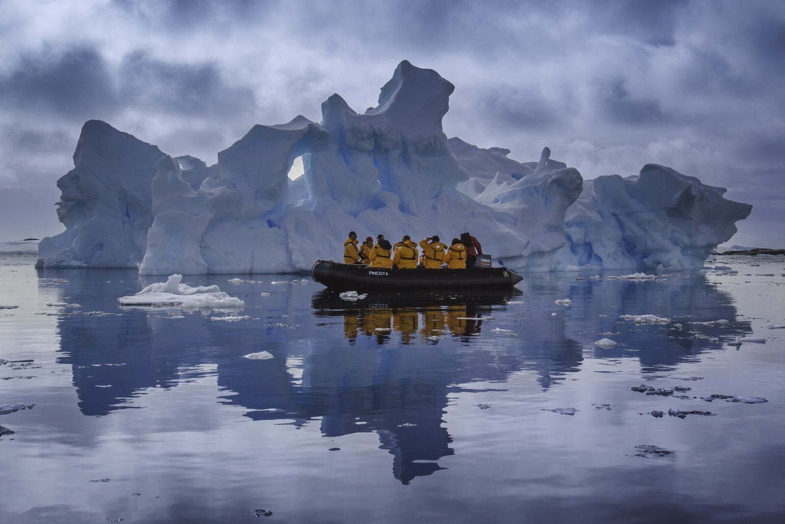 things to do in Antartica zodiac tours