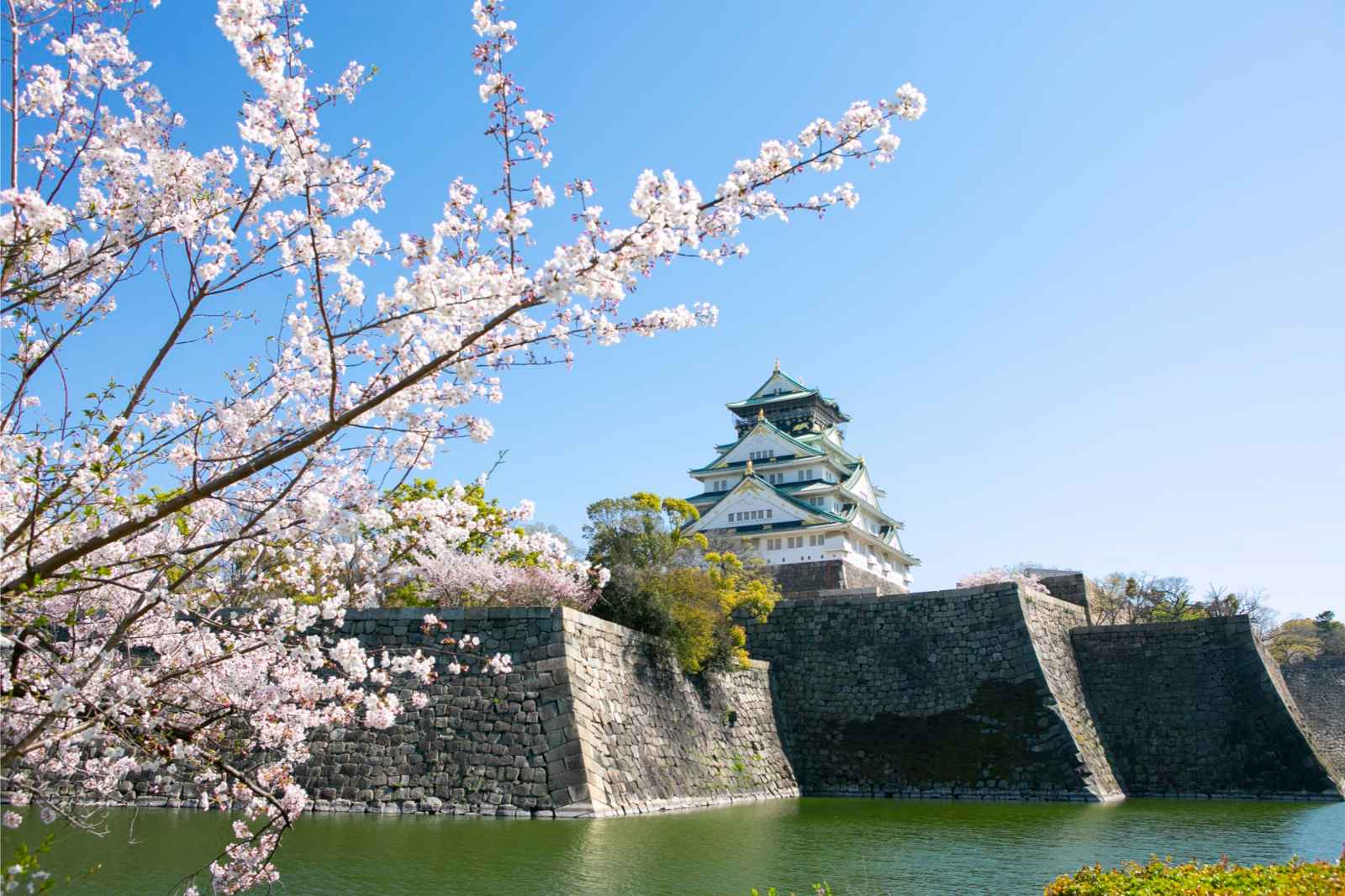 Best Things to do in Osaka Osaka Castle