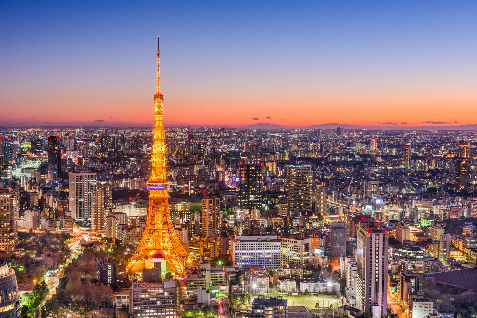 best things to do in tokyo skyline view