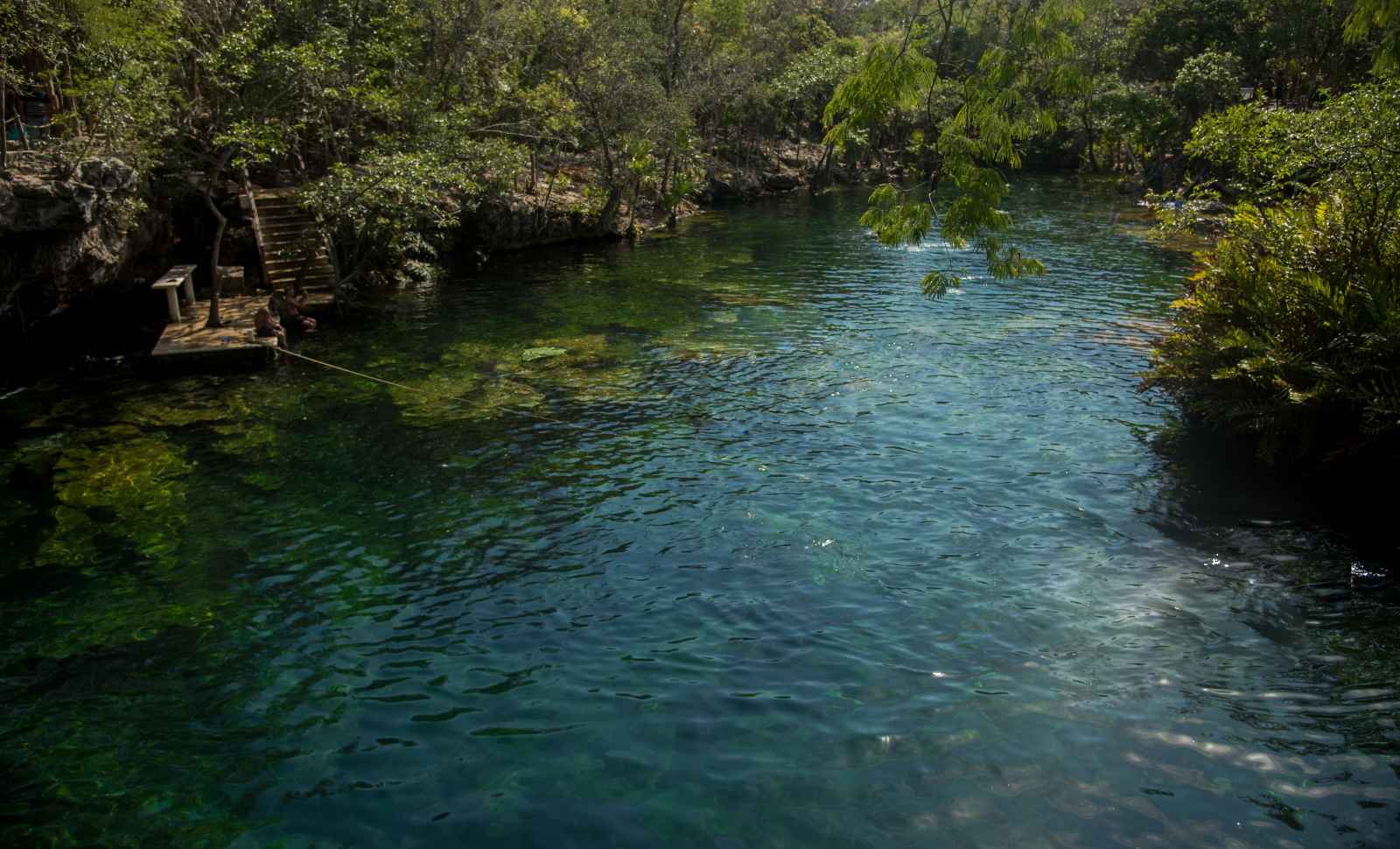 Best Things to do in Tulum Cenote Cristal Tulum Mexico