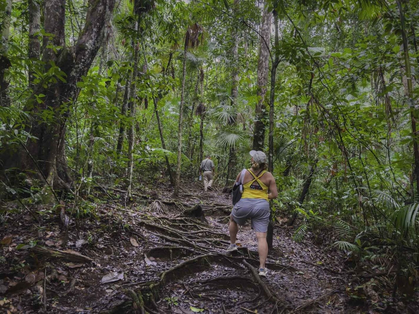 Best things to do in Belize Mountain Pine Ridge Forest Reserve