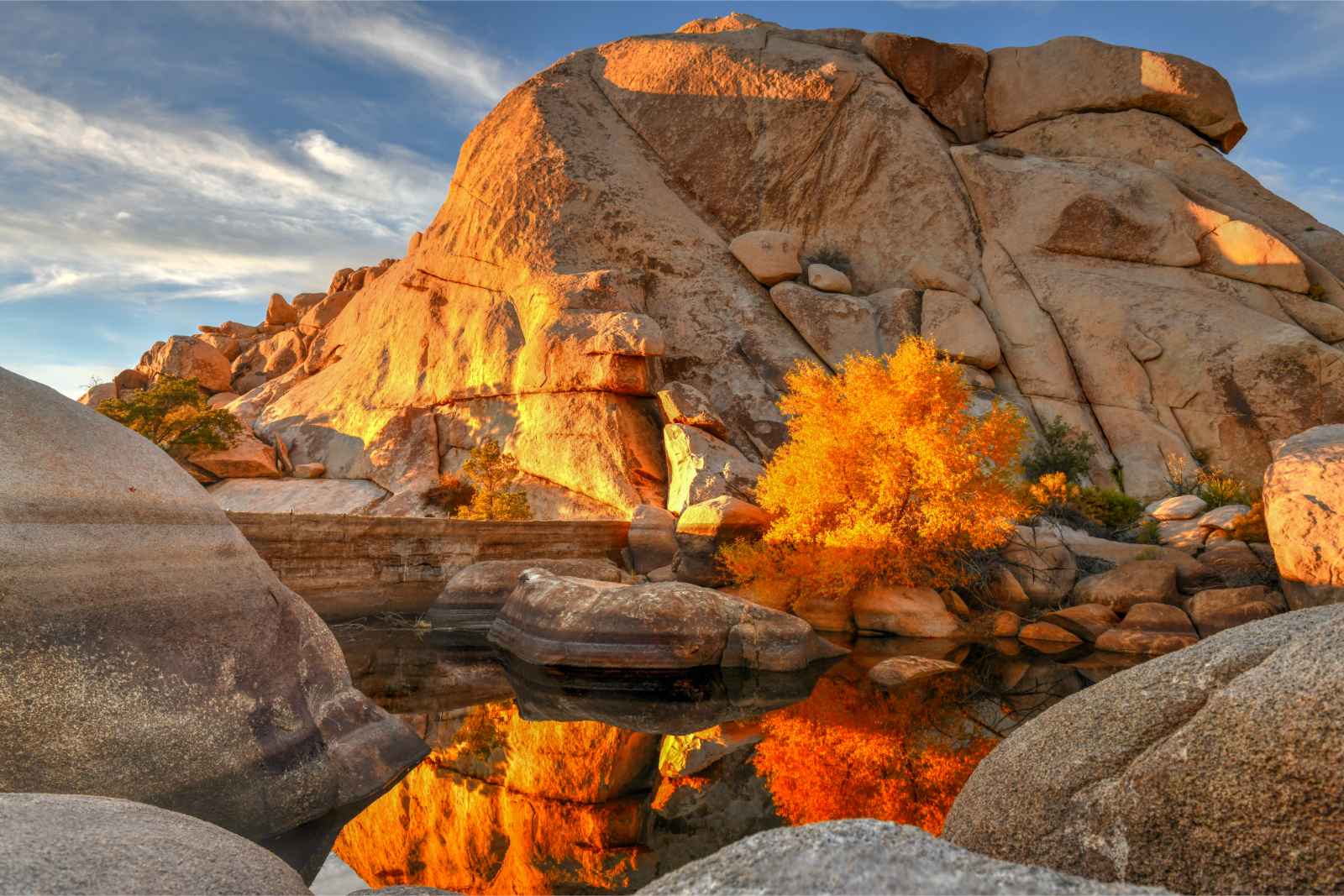 Best things to do in Las Vegas Red Rock Canyon Barker Dam Joshua Tree