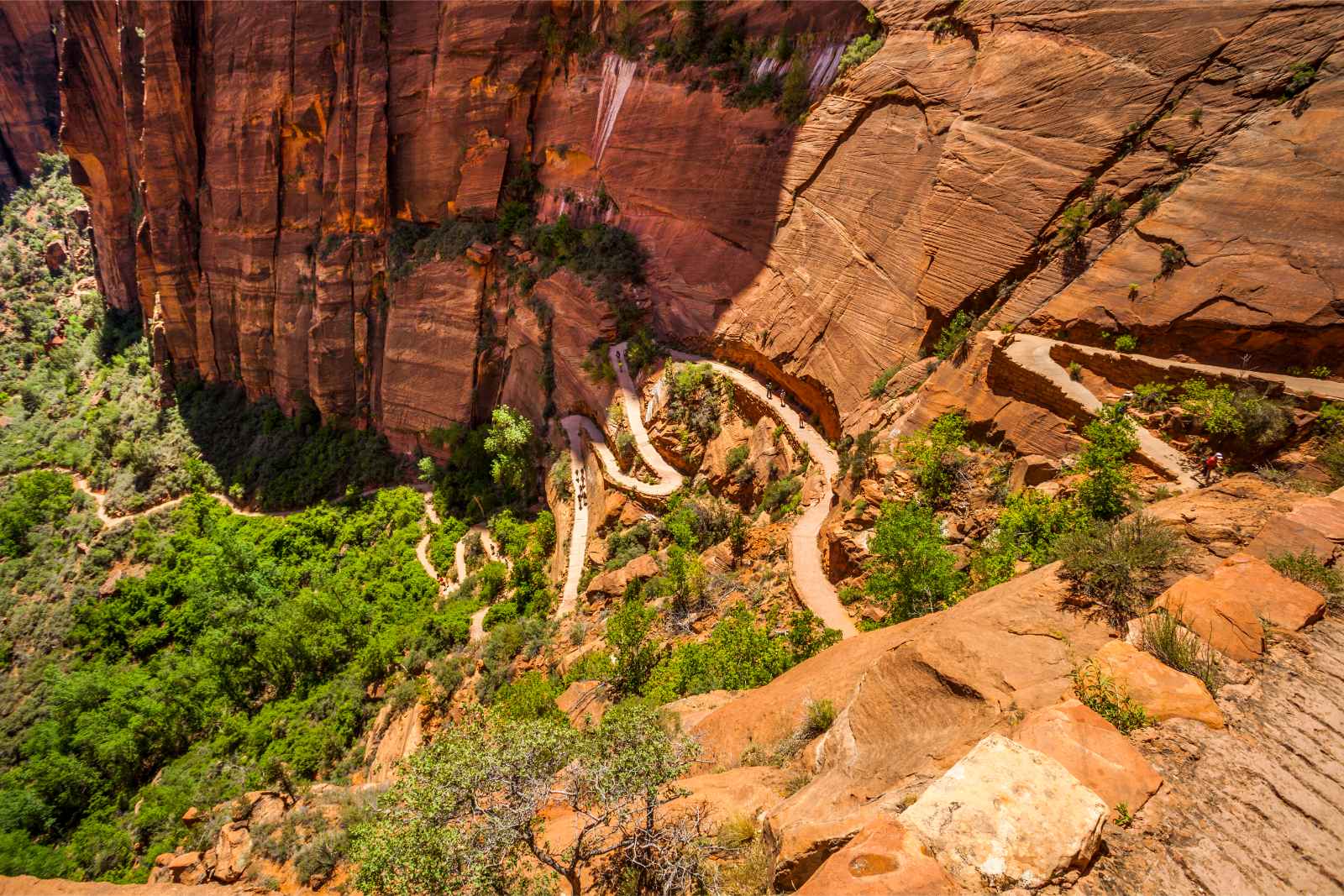 Best things to do in Las Vegas Zion National Park