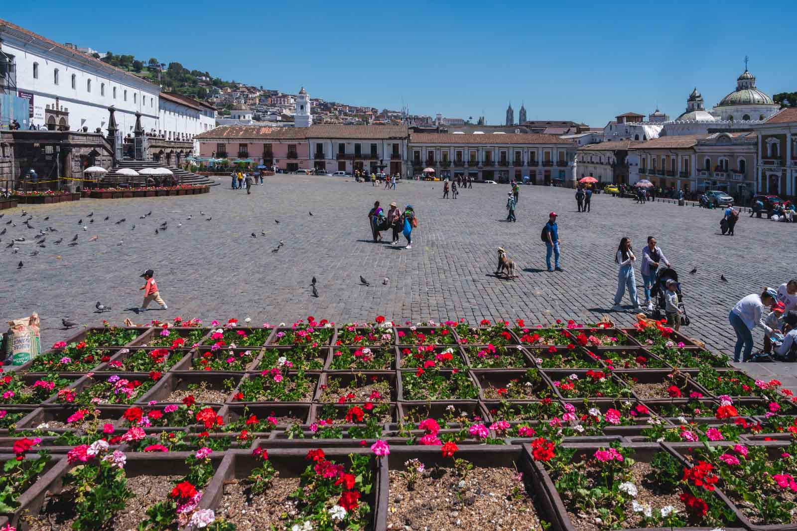 Coisas para fazer em Mercado Central de Quito