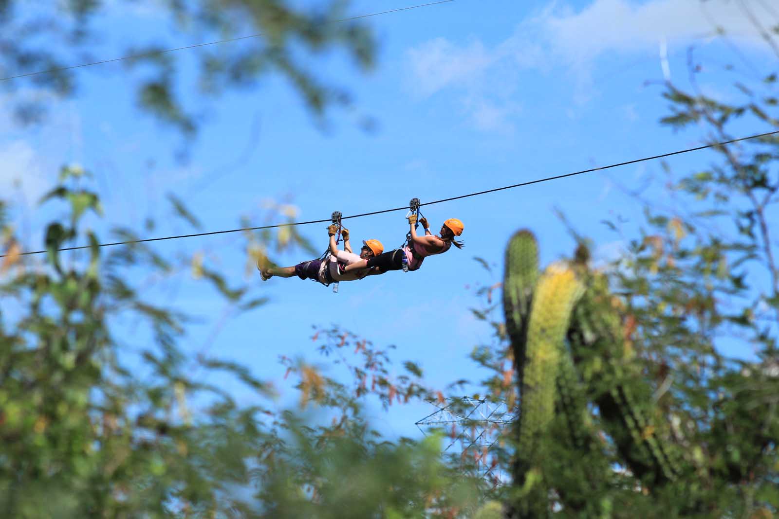 Things to do In San Jose Del Cabo Ziplining