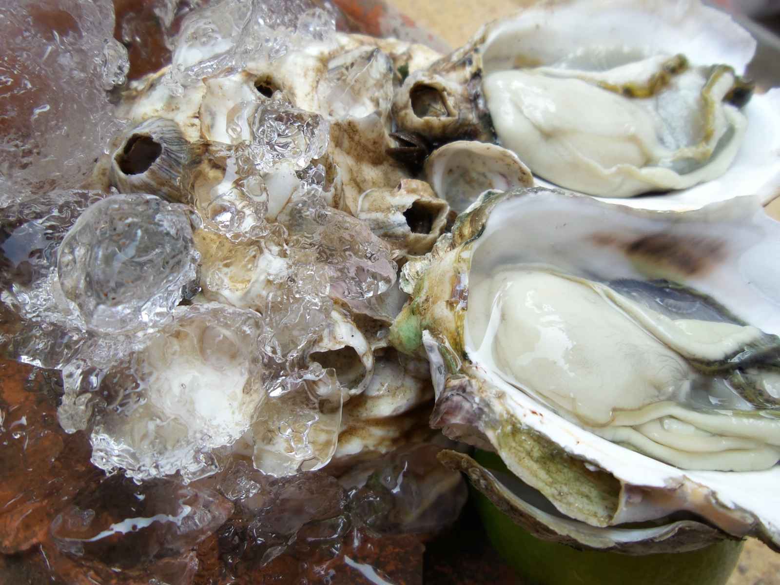 London Food Oysters