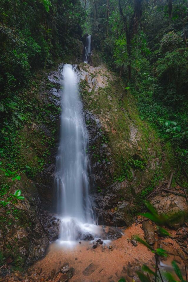 Mashpi Lodge Ecuador Waterfalls