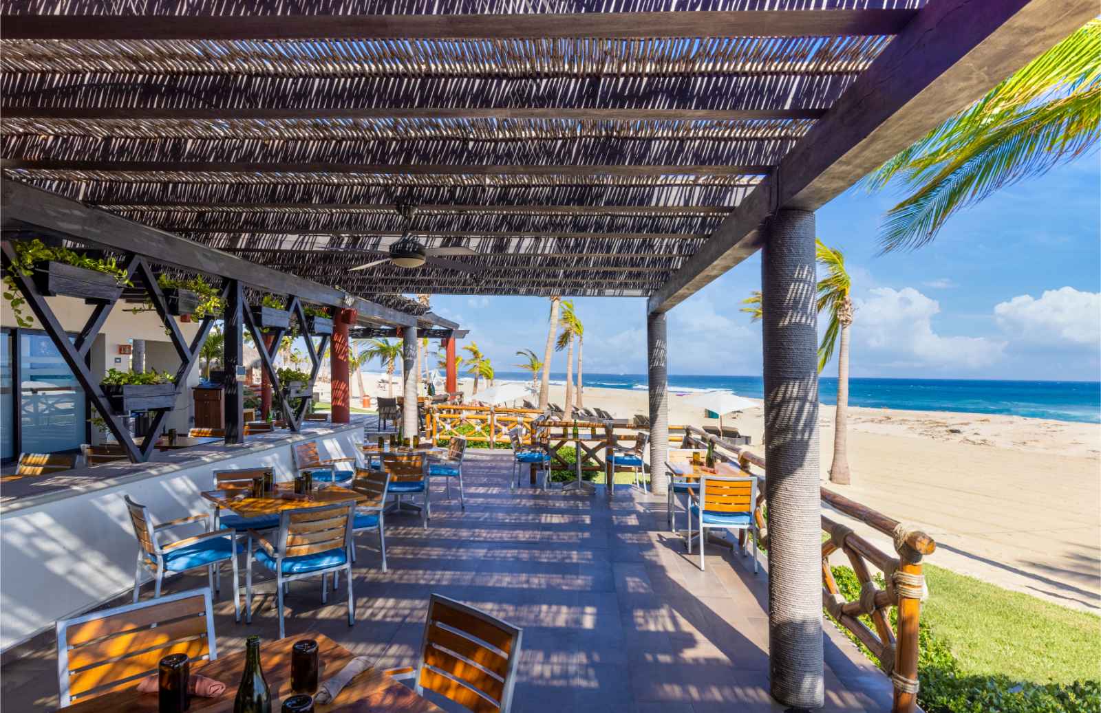 Things to do In San Jose Del Cabo Beachfront restaurant