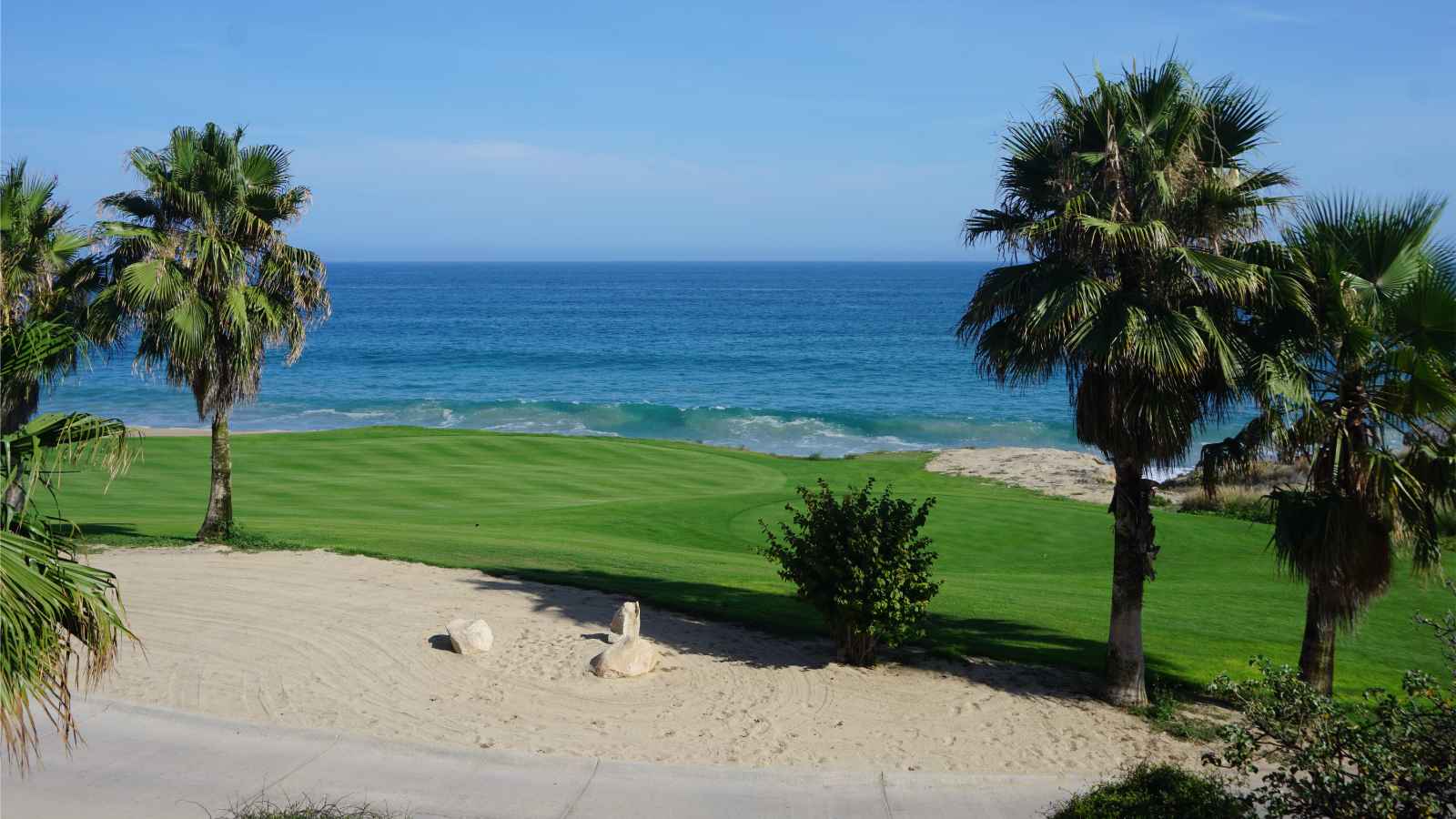 Things to do In San Jose Del Cabo Golf Course