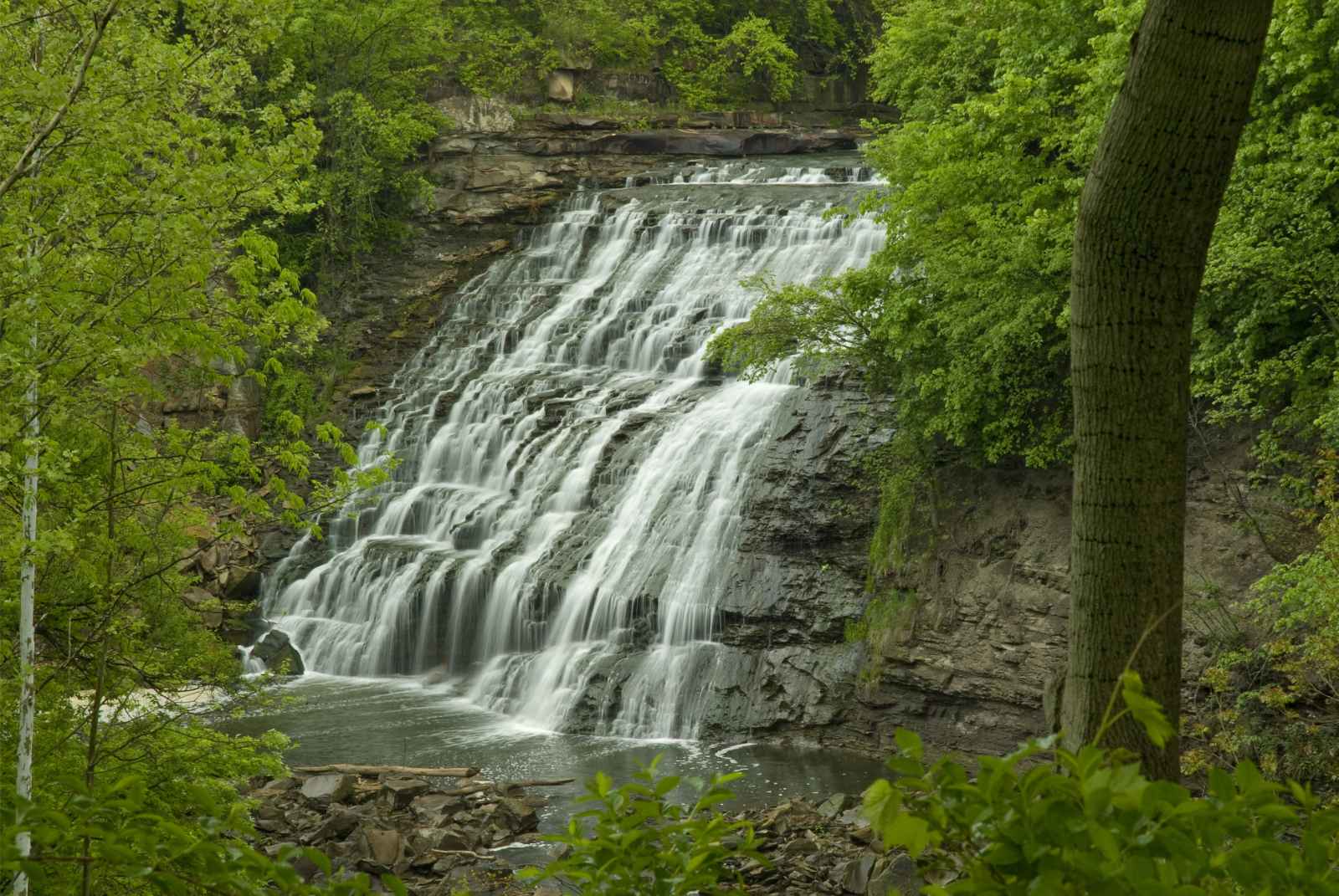 Things to do in Cleveland Mill Creek Falls