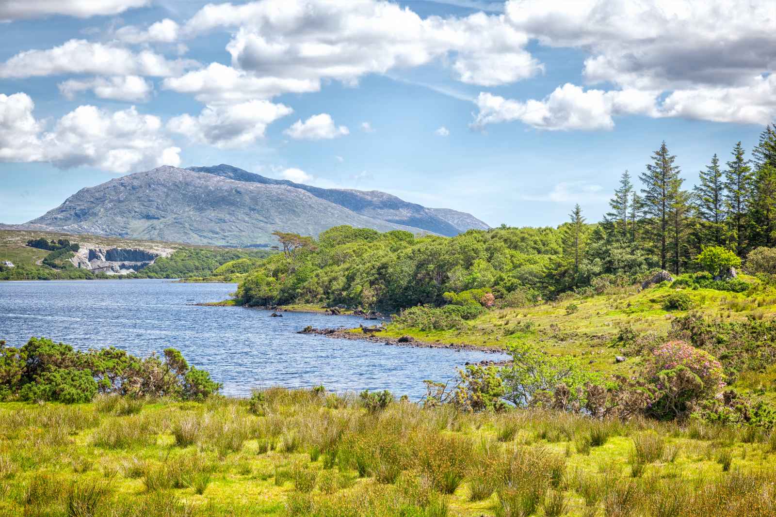 Things to do in Galway Lough Corrib