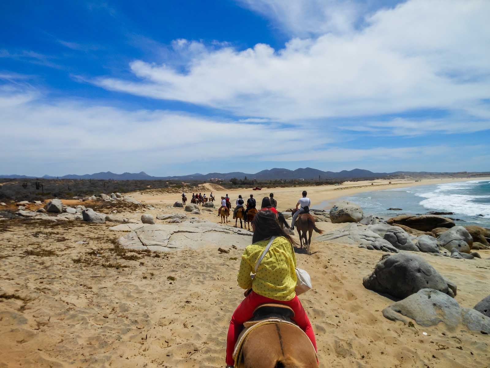 Things to do In San Jose Del Cabo Horseback on the Beach