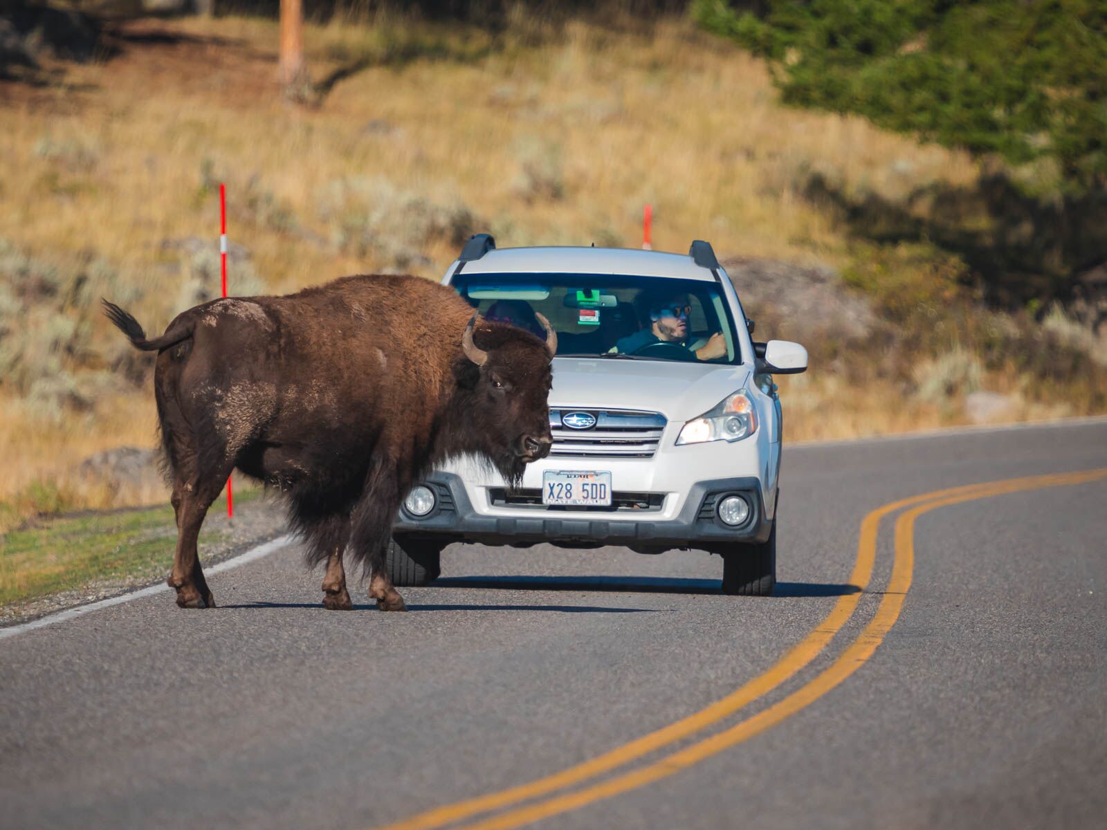 Things to do in Yellowstone National Park Best Time to Visit