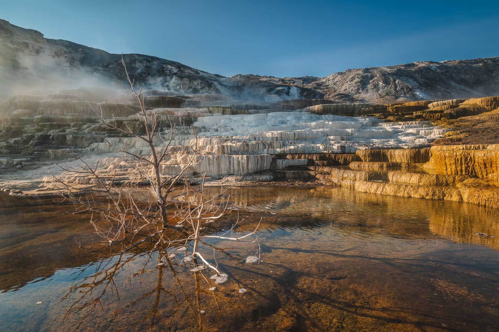 Things to do in Yellowstone National Park Mammoth Hot Springs Location