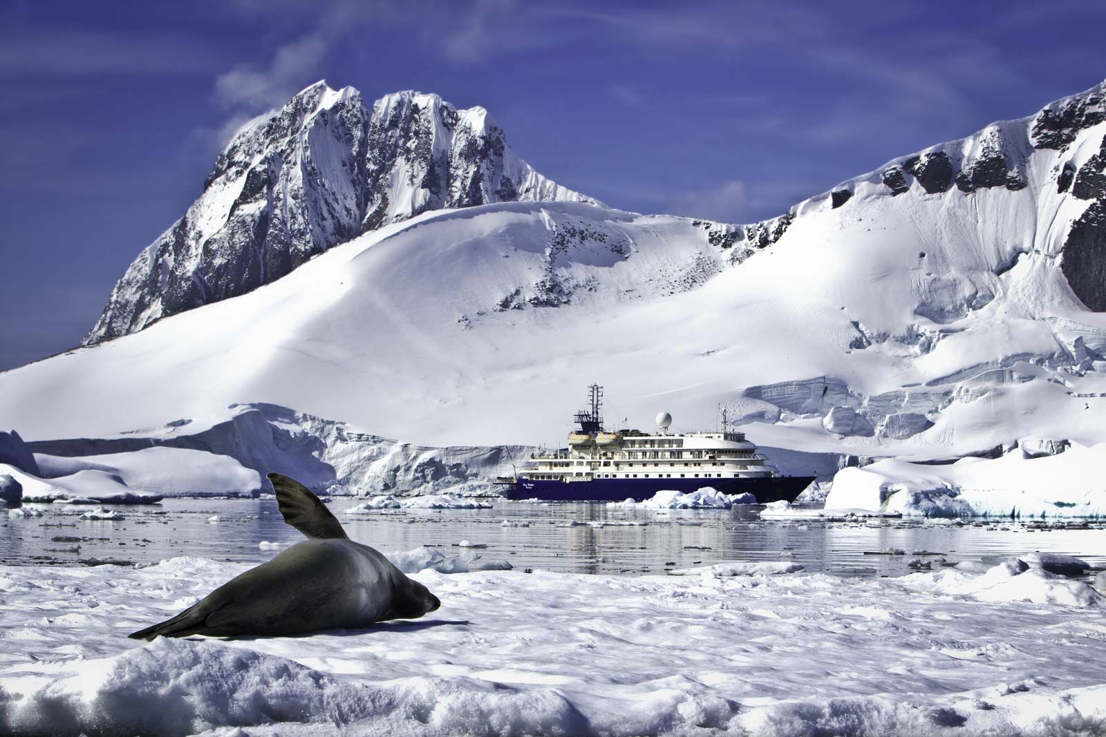 Top things to do in Antarctica