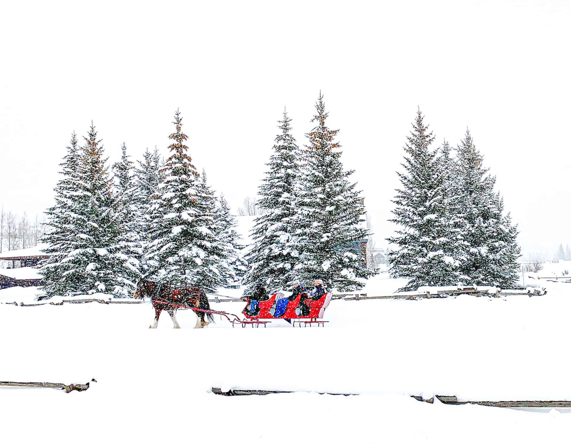 colorado in winter sleigh rides