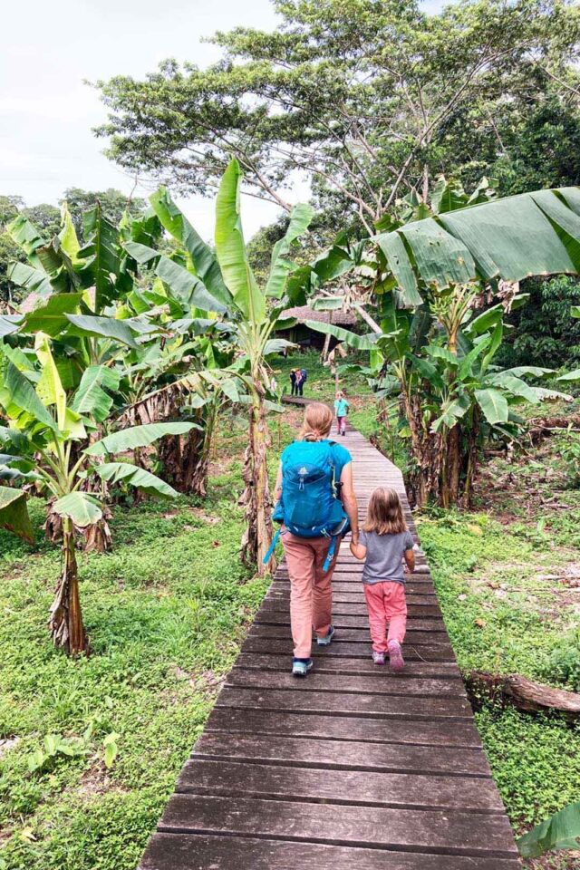 viajando com crianças no caminho da selva