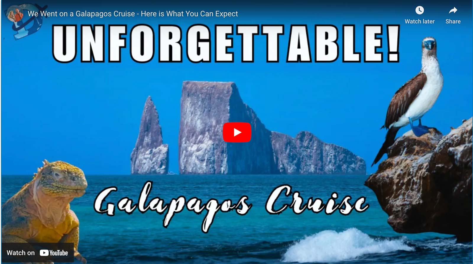 galapagos cruise video