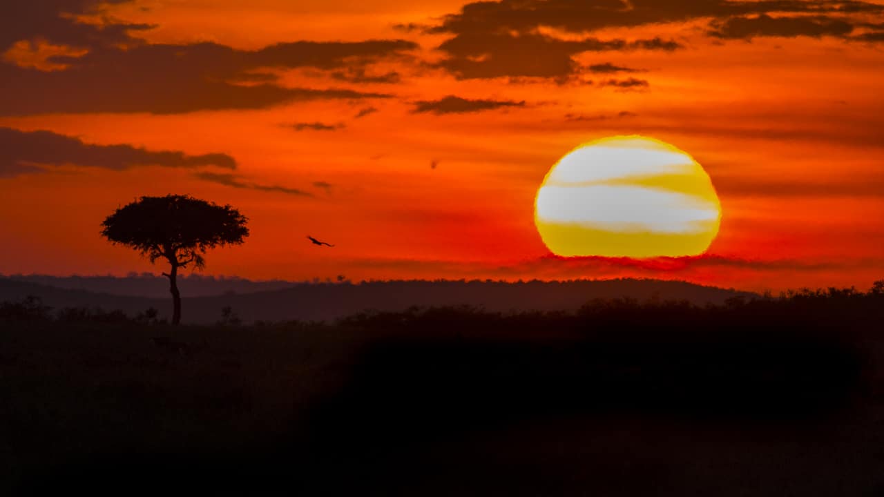 beautiful places on earth tanzania sunsets