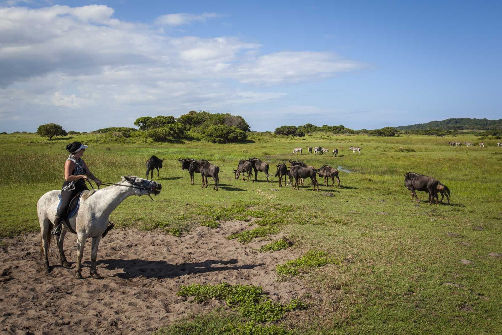 Best things to do in south Africa Horse Safari in Hluhluwe 