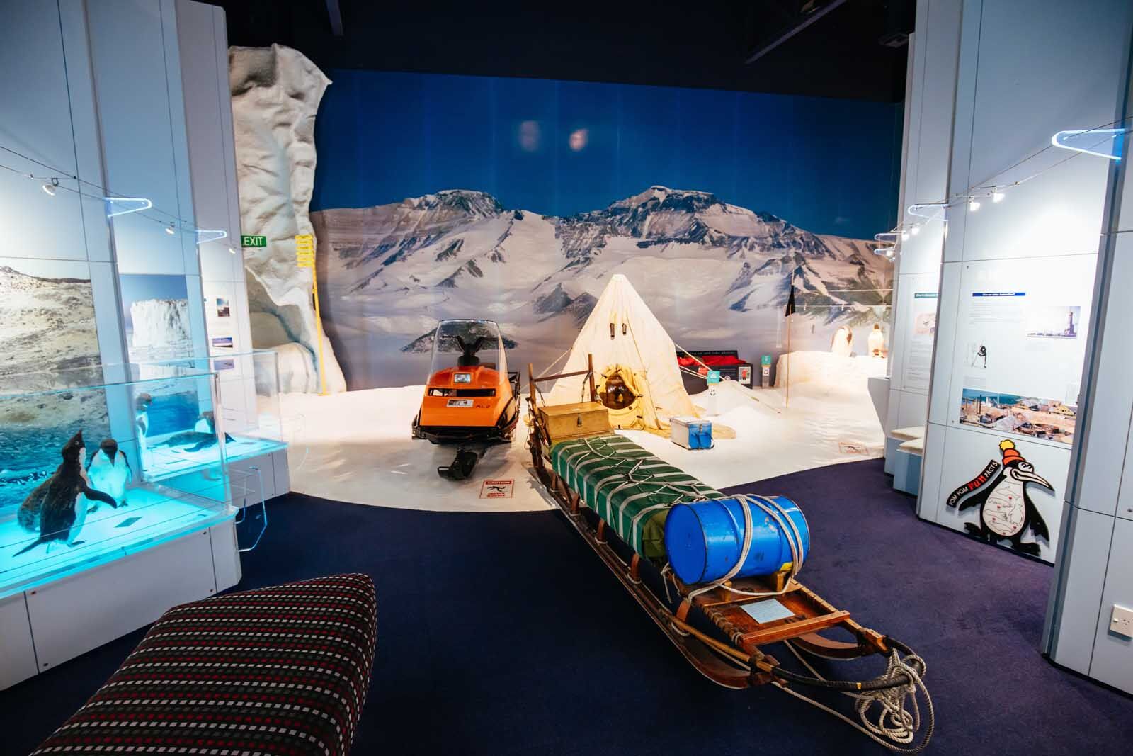 best things to do in christchurch international antarctic center