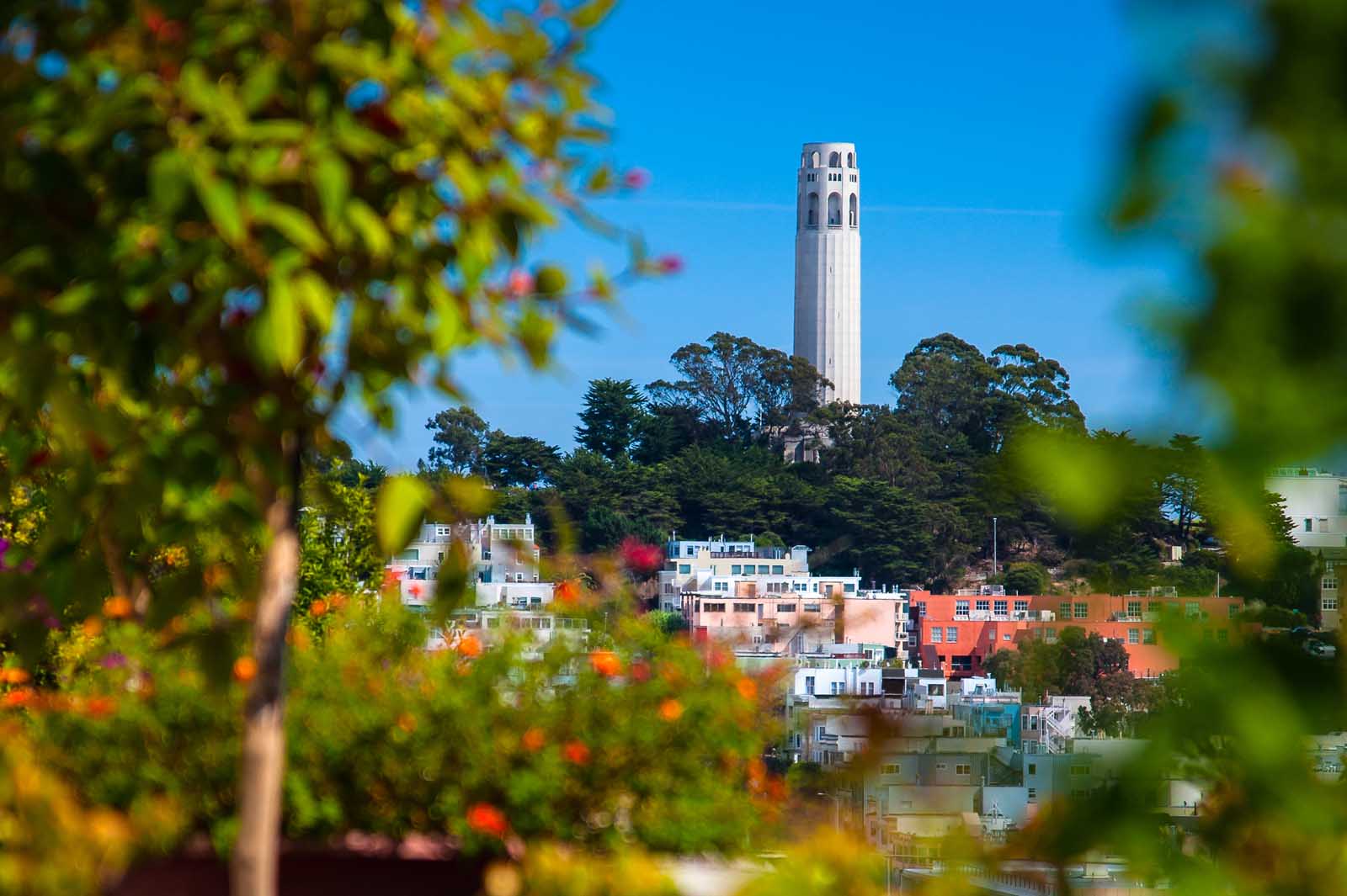 things to do in sf coit tower
