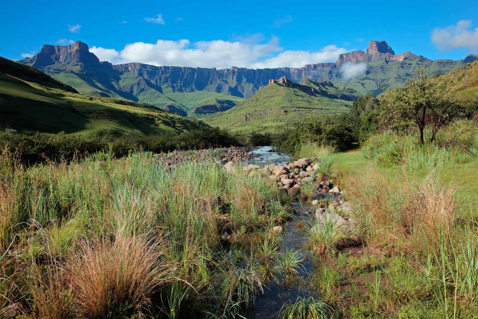 things to do in south africa drakensberg mountains