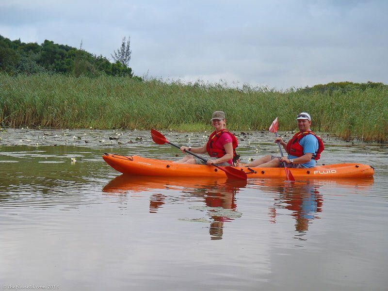 unique things to do in South Africa Kayak with Crocs