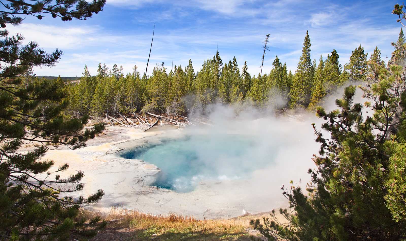 best things to do in yellowstone norris geyser basin
